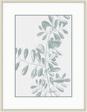 Inky Fern in Mint  III