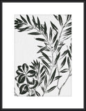 Inky Fern in Black I