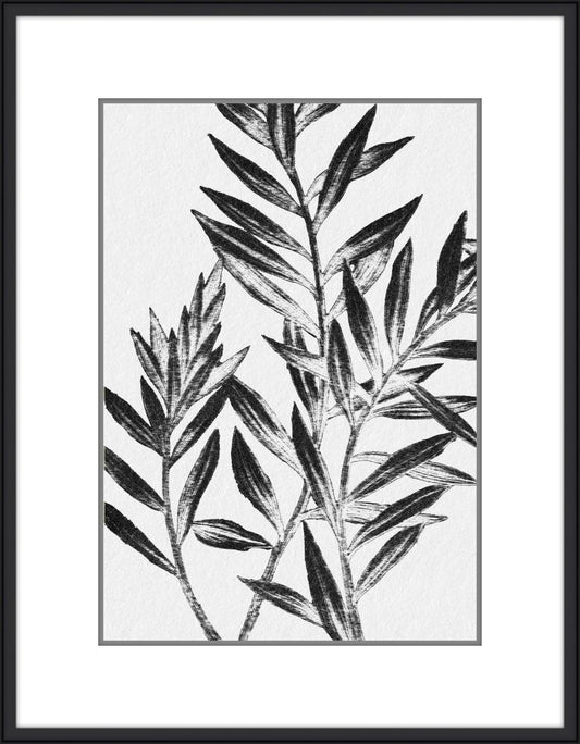 Inky Fern in Black II