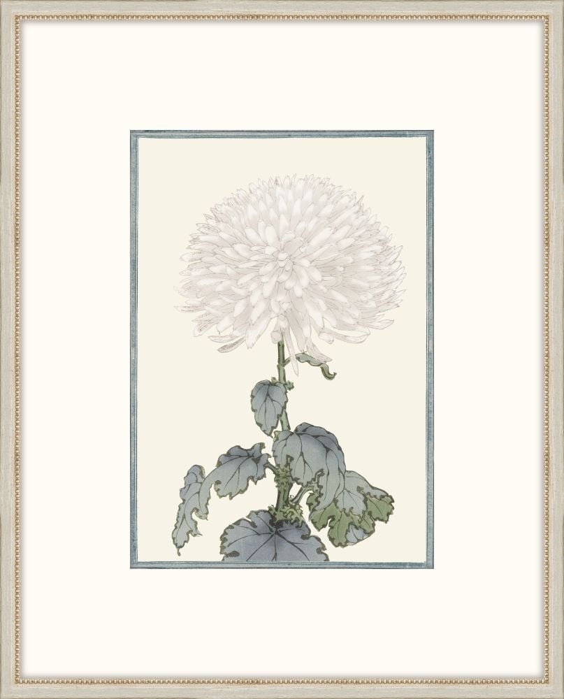 Asian White Flowers I