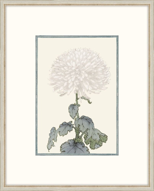 Asian White Flowers I