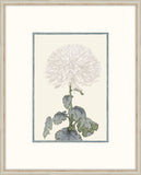 Asian White Flowers I