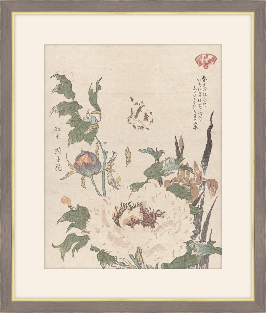 Peonies and Iris