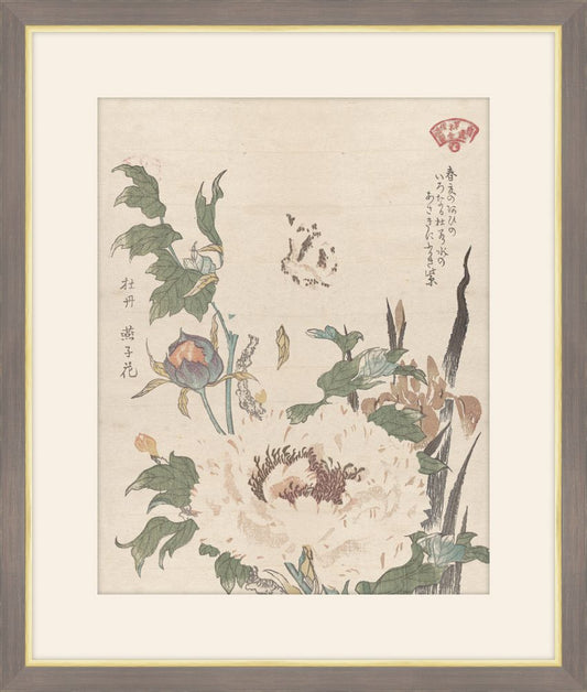 Peonies and Iris