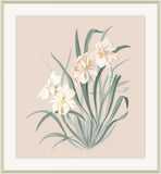 Beautiful Orchid II