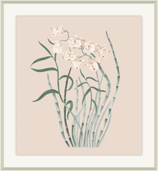 Beautiful Orchid IV