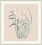 Beautiful Orchid IV
