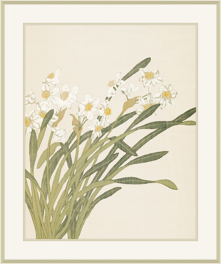 Narcissus I