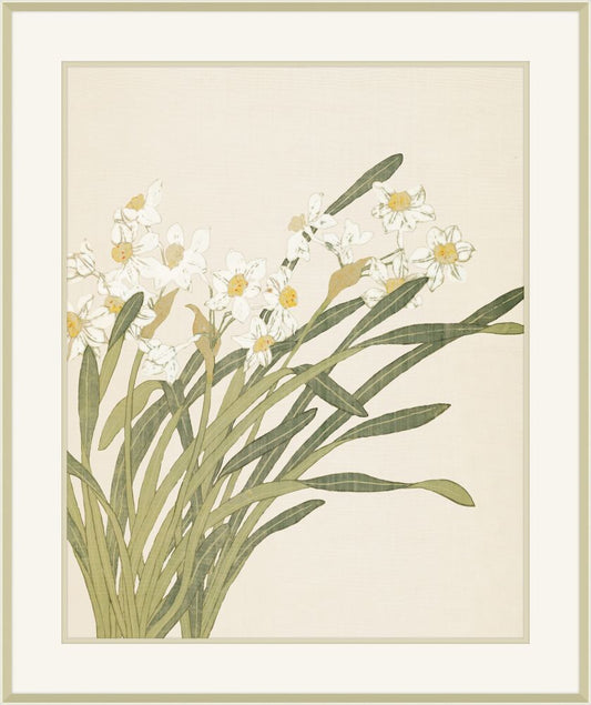 Narcissus I