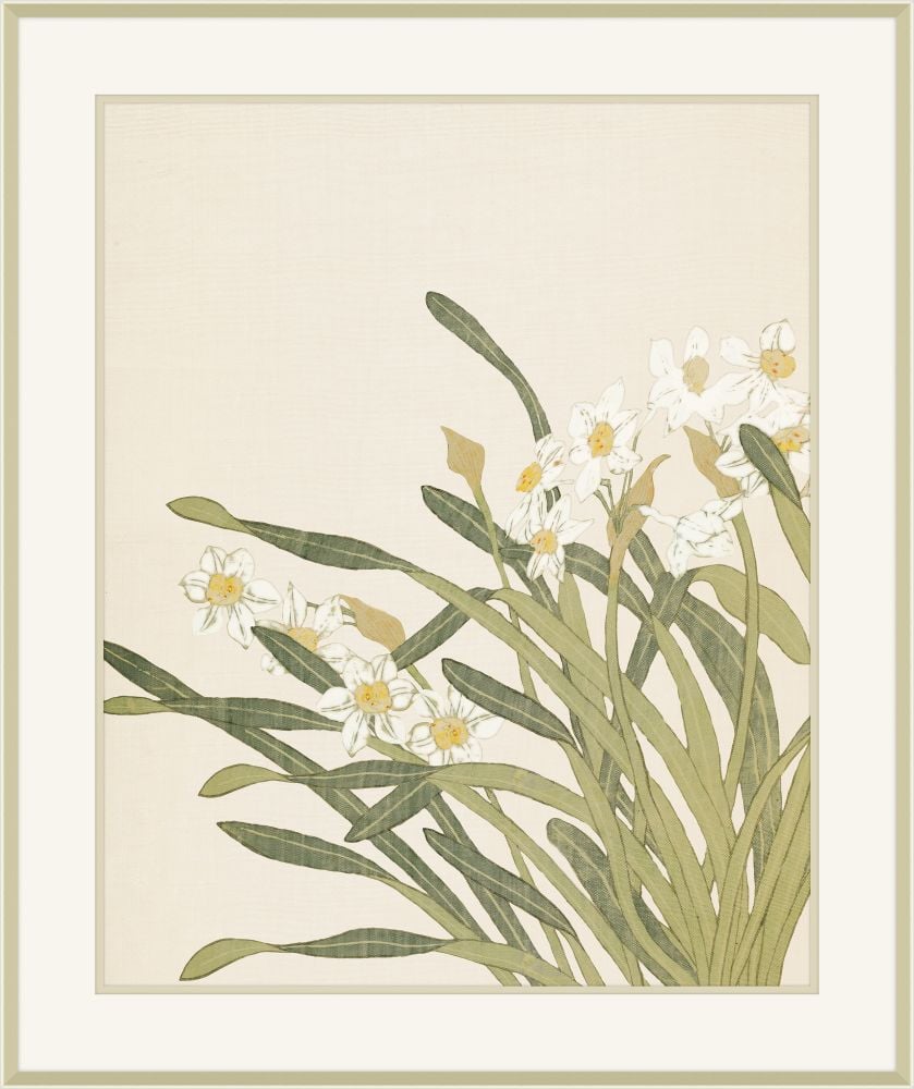 Narcissus II