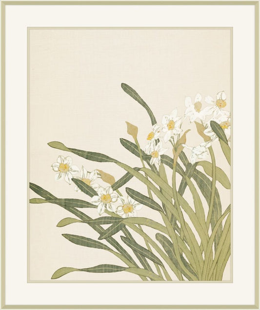 Narcissus II