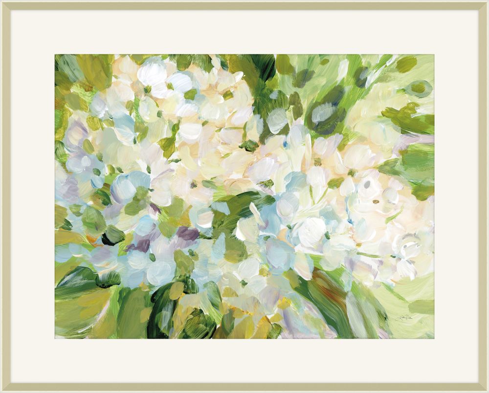Hydrangea Joy