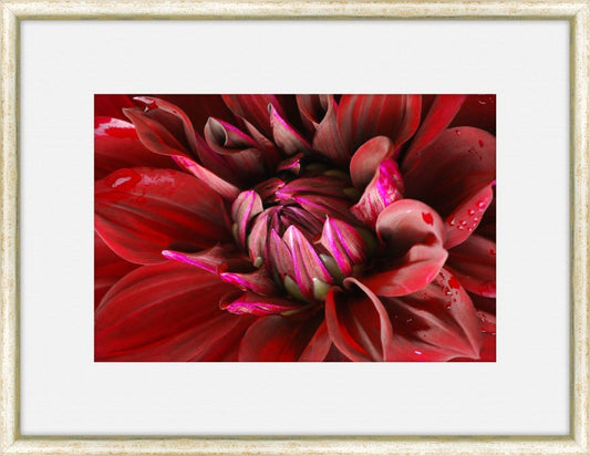 Flora Spectrum III