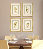 Les Poires, Set of 4