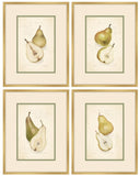 Les Poires, Set of 4