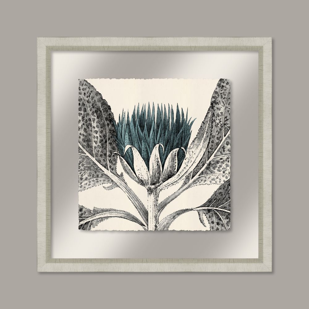 Arctium in Adrift and Silver I