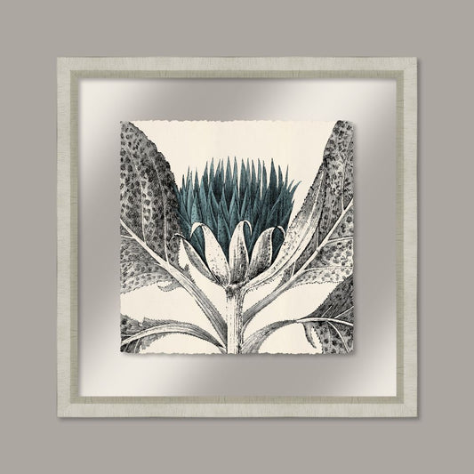 Arctium in Adrift and Silver I