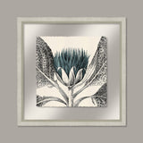 Arctium in Adrift and Silver I
