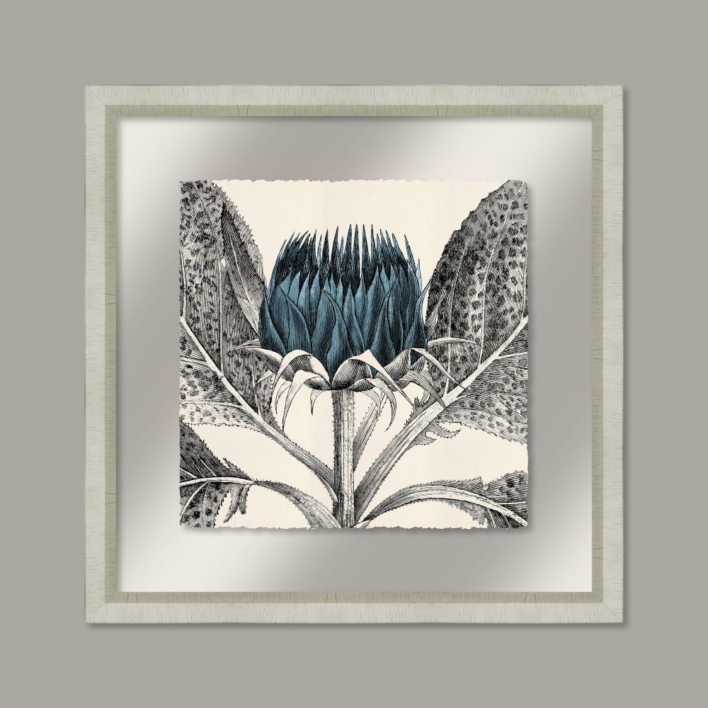 Arctium in Adrift and Silver II