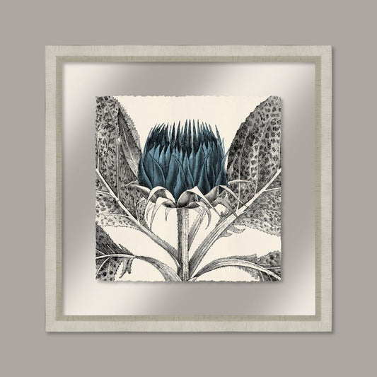 Arctium in Adrift and Silver II