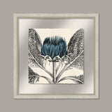Arctium in Adrift and Silver II