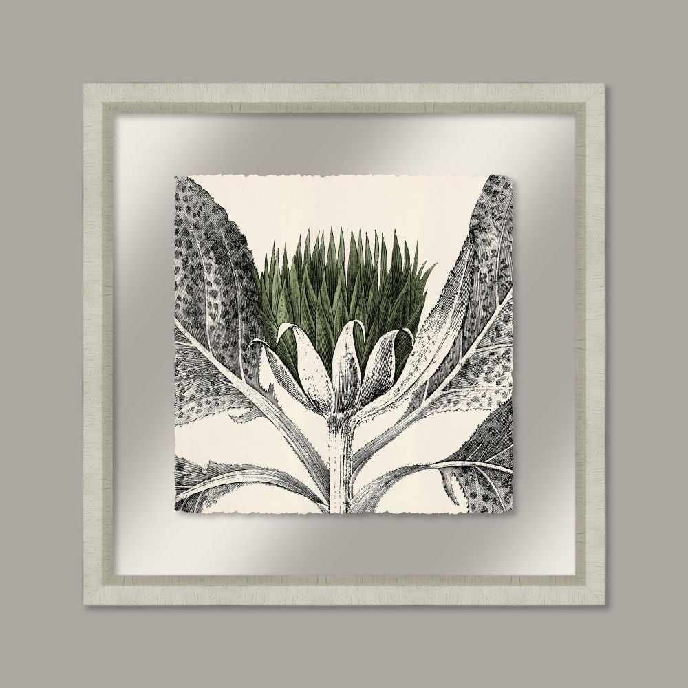 Arctium in Kale and Silver I