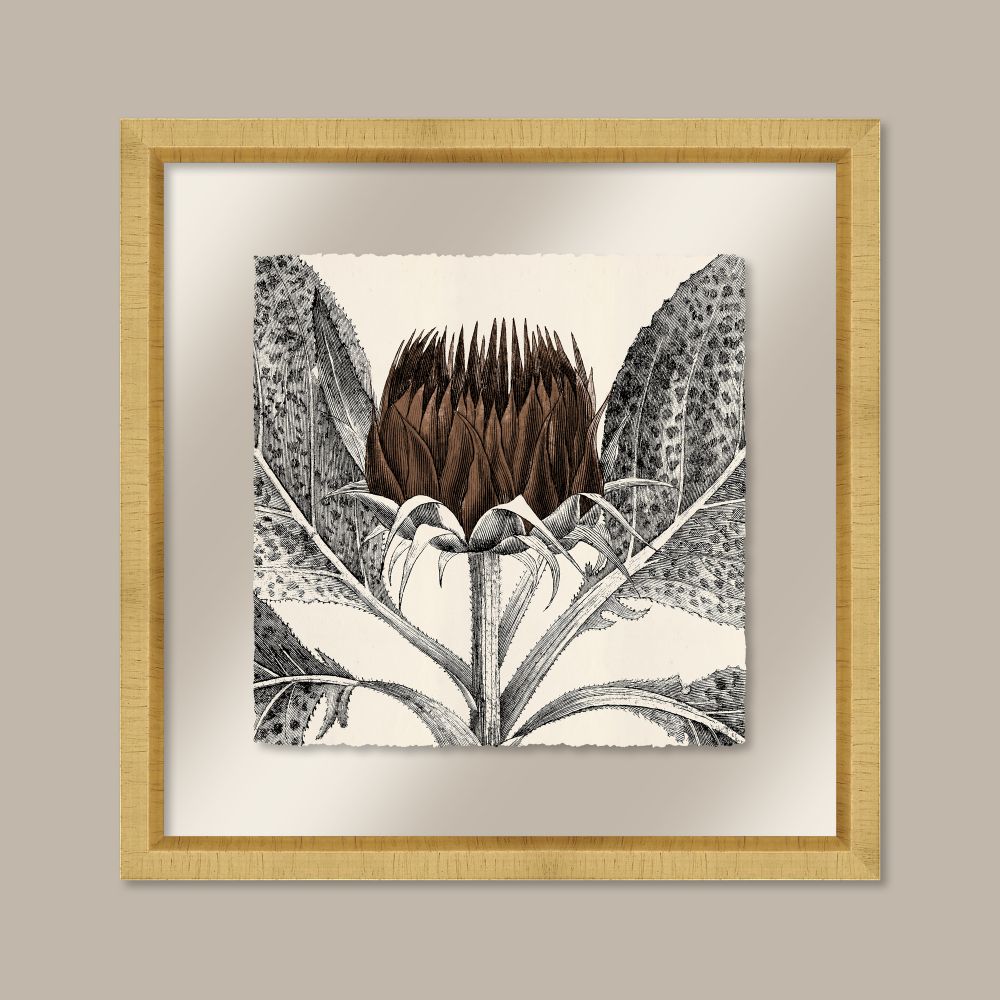 Arctium in Toffee and Gold II