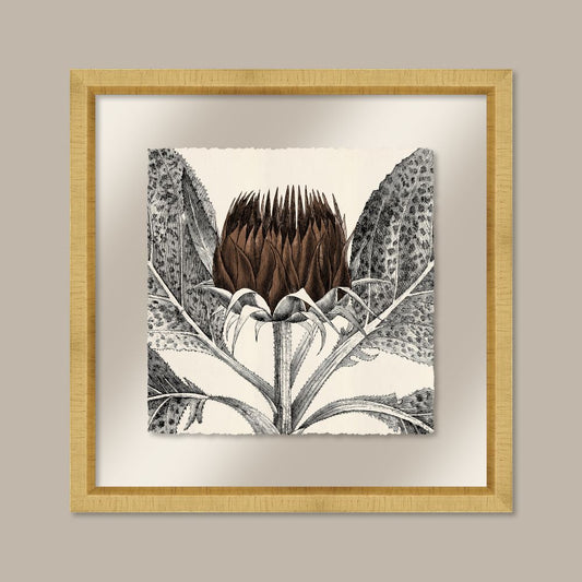 Arctium in Toffee and Gold II
