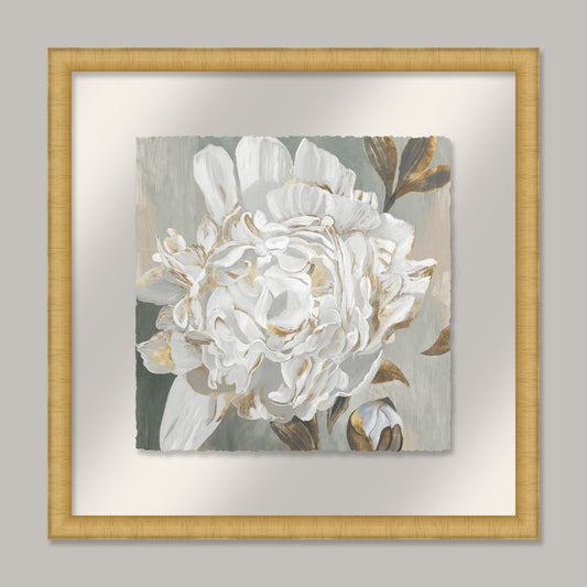 White Foliole