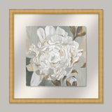 White Foliole