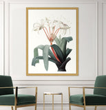 Coral Blooms II