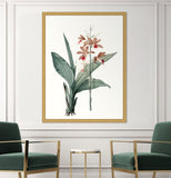 Coral Blooms III