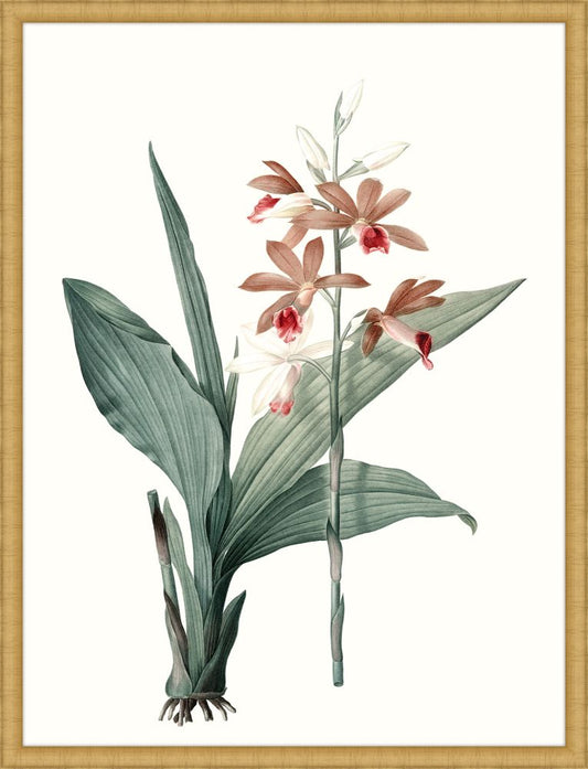 Coral Blooms III