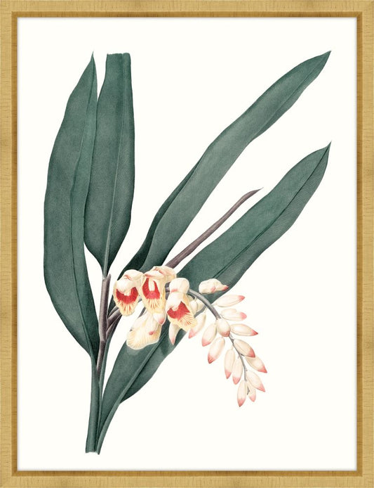 Coral Blooms I Petite