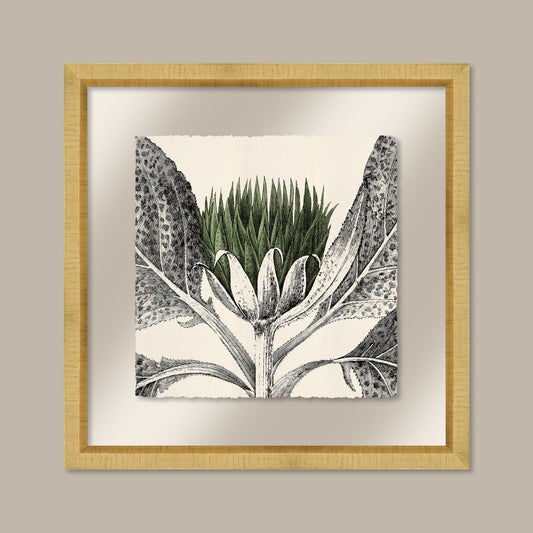 Arctium in Kale and Gold I