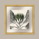 Arctium in Kale and Gold I