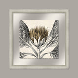 Arctium in Spun Gold and Silver I
