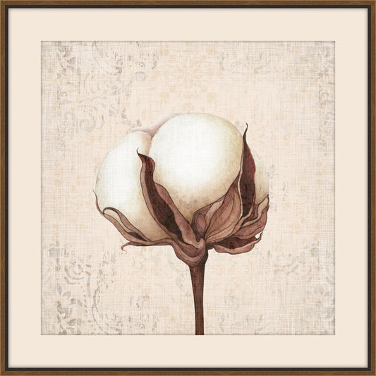 Cotton Stem I
