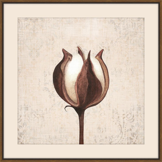 Cotton Stem II