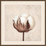 Cotton Stem III