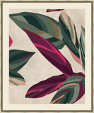 Plum Foliage II