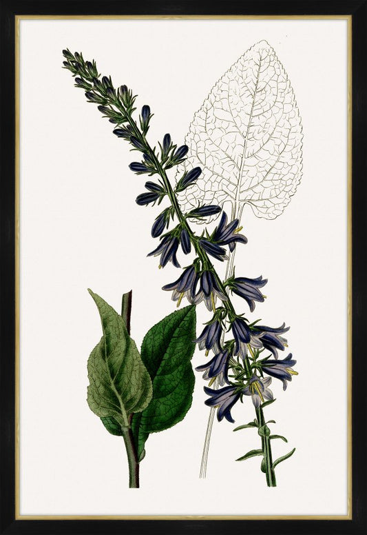 Cobalt Blooms I