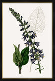 Cobalt Blooms I