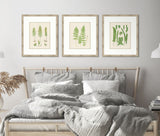 Natural Ferns on Cream Linen I