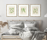 Natural Ferns on Cream Linen IV