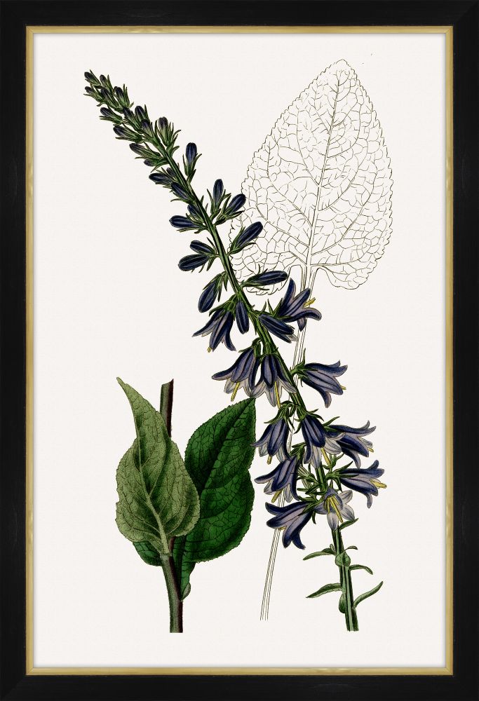 Cobalt Blooms I Petite