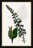 Cobalt Blooms I Petite