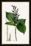 Cobalt Blooms II Petite