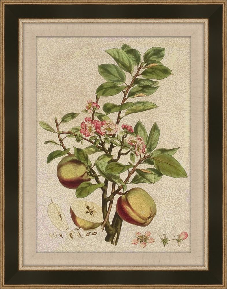 Millers Bounty II