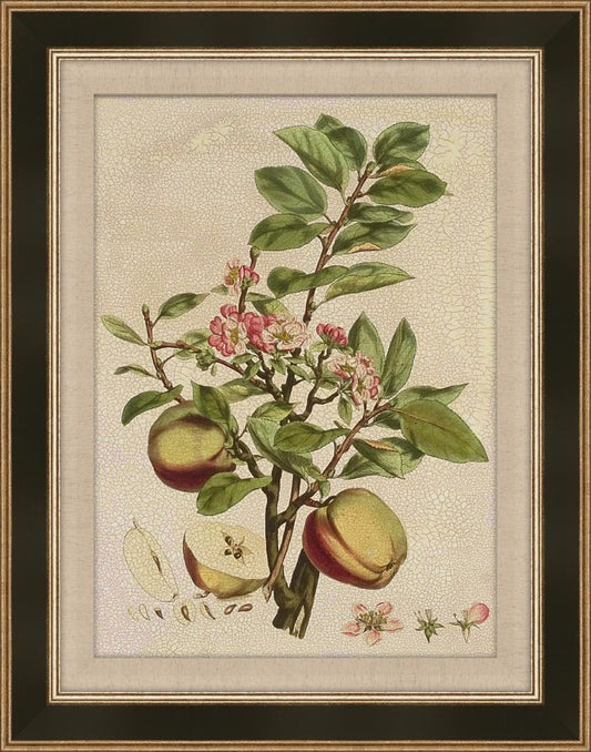 Millers Bounty II